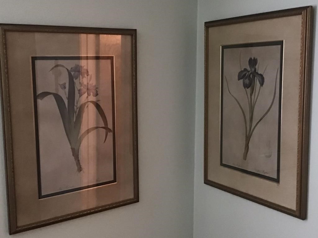 2 FRAMED IRIS PRINTS