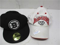 Badgers & Misc Hat