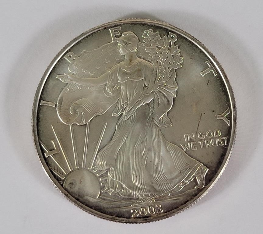 2004 1 Oz Fine Silver Walking Liberty Silver Coin