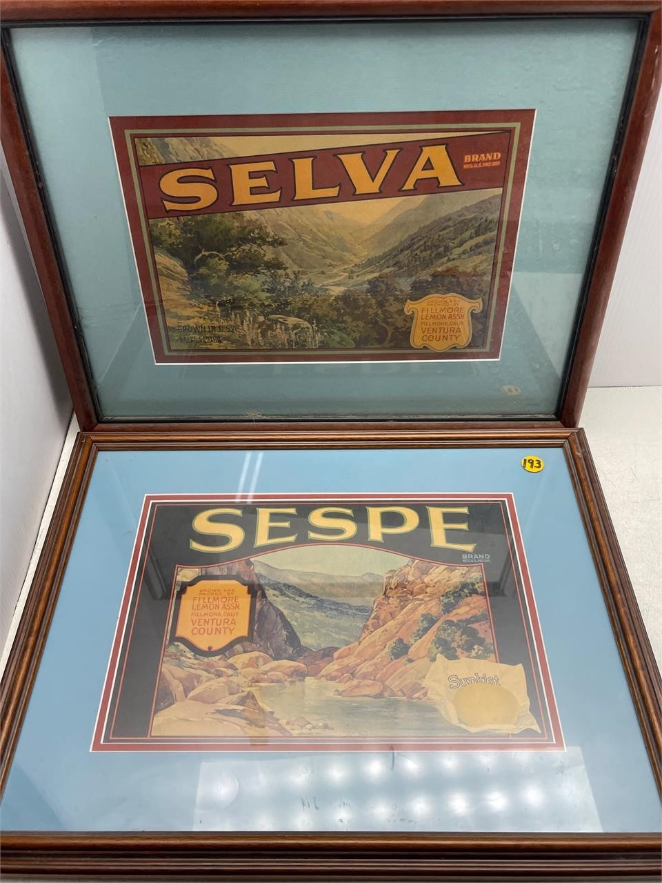 2 CALIFORNIA FRUIT VEGETABLE LABELS FRAMED 19X15