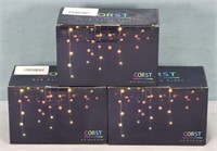 (3) Boxes of LED Fairy Lights