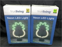 LOT OF 2 NEON LED LIGHT'S