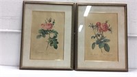 Pair of Vintage Rose Botanical Prints K15F