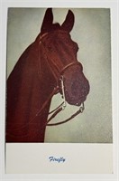 Vintage PPC Postcard Standard Arts Firefly!