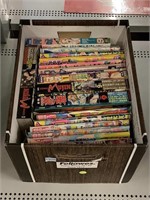 Adult Japanese Manga.