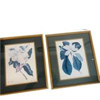 Pr Framed Magnolia print pictures