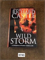 Book Richard Castle - Wild Storm