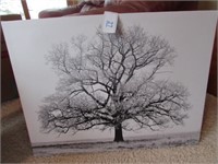 Tree Canvas