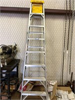 8ft Werner Step Ladder