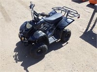 TAO Mini 4Wheeler