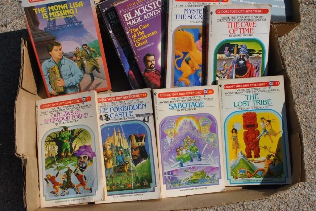 flat of kids books choose your own adventure