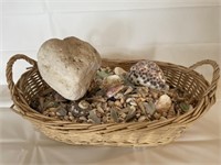 Seashell & Coral basket Over 5 pounds #2