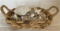Seashell & Coral basket Over 5 pounds #1