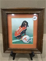 Tennessee Smokey Dog Picture