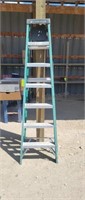 7' Louisville Ladder