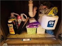 Household Cleaners & Personal Care Items