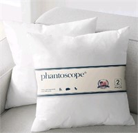 Phantoscope 20 x 20 Pillow Inserts