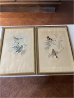 Pair of bird framed pictures