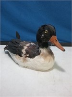 Feather duck