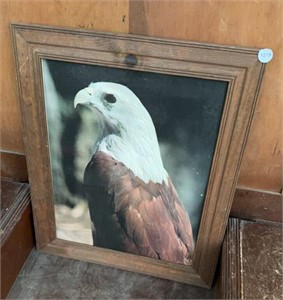 Framed Eagle