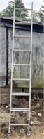 Davidson 16ft Aluminum Extension Ladder