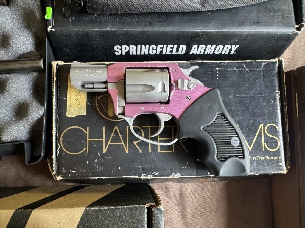 CHARTER ARMS THE PINK LADY .38 CALBIER