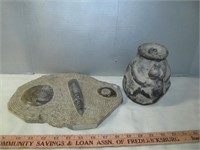 Native Hand Crafted Monkey Pot & Fossil Display