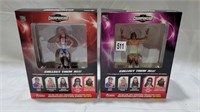 2 nib championship wrestling figures