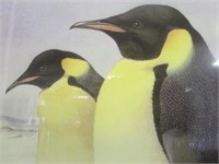 ~ Penguin 1982 Poster 18x24"