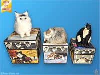 (2) Rabbit Fur Cats & Cat Boxes, etc.