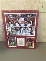 2011 Alabama football collage 16 x 20