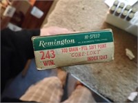 (10) Rem. 243 Cartridges