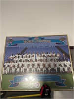 World champions blue jays team picture vintage