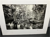 Loxahatchee River #9 by Big Cypress Gallery by