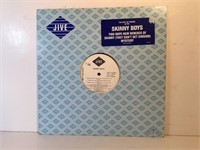 SKINNY BOYS VINYL RECORD LP