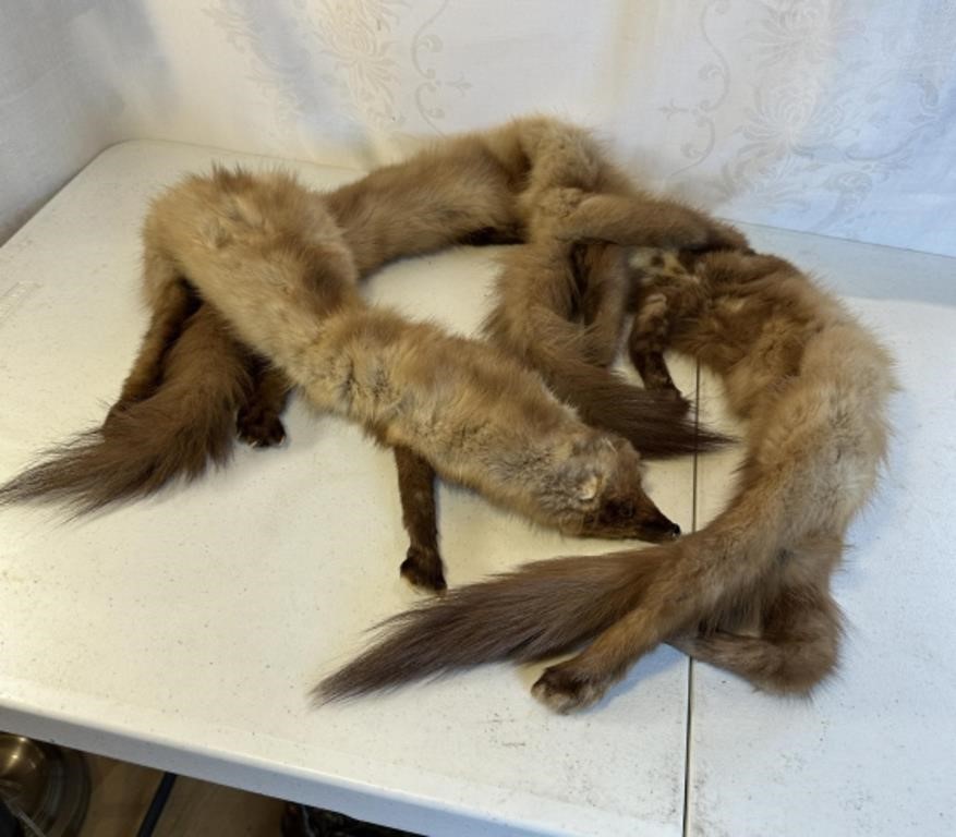 Vintage Fur Stole Whole Mink Heads Tails