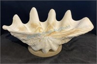 24 inch giant clam shell