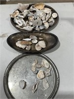 Sea Shells, Metal Trays