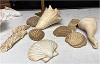 Seashells lot