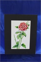"Red Rose of Love" by Thomas Rhodes