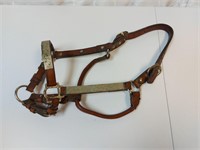 Show Halter Horse or Cob Size?