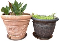 Two Planters with Wild Plants