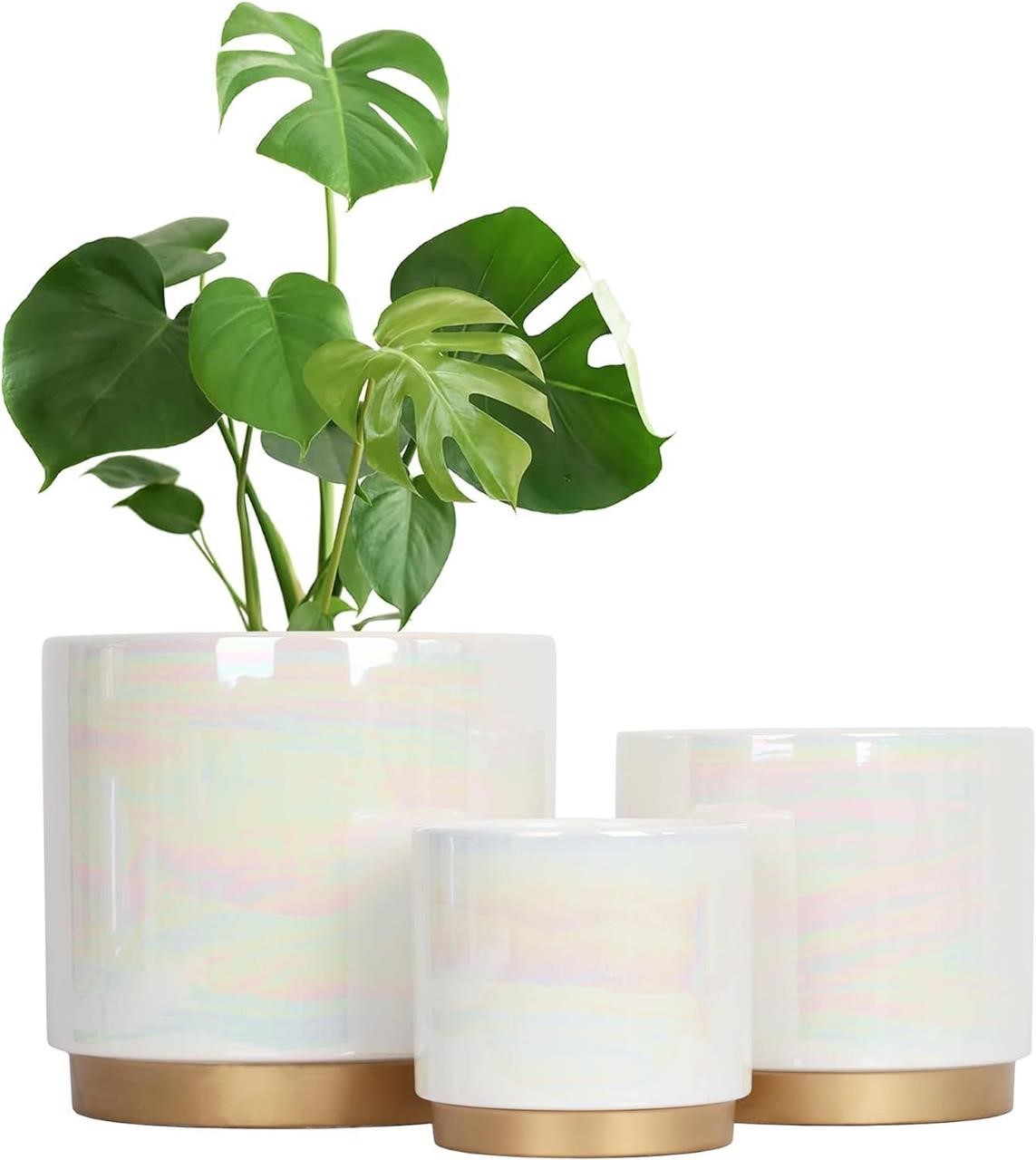 White Indoor Pots for Plants, Ceramic Planter