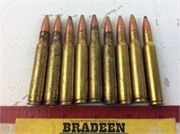 (9) 30-06 Ammo