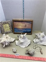 Conch shells bleached seashell picture frame