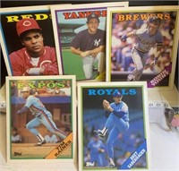 5-baseball DouTang  folders