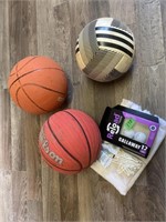 Sports lot- basketball/ golf balls etc