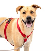PetSafe Sure-Fit Harness, Adjustable Dog Harness