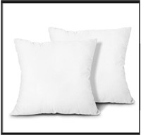 Throw Pillow Inserts, Set of 2