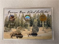 Bison nickel collection